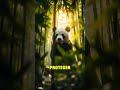 Turismo Panda: ¿Solución o Daño? 🐼