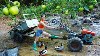 Full video: washing the plow, harvesting corn, clearing the fields - life in the forest