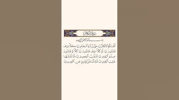 سورة التكاثر ترتيل هادئ يبعث الطمأَنينة 🍀