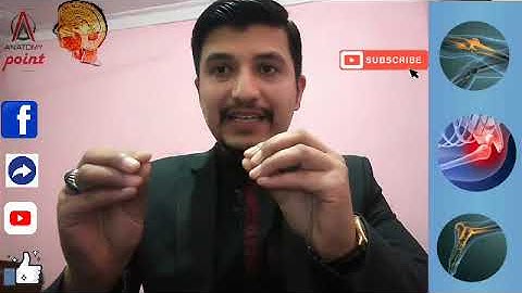 system || Part 1 || Dr. Atif Nazir #Brief #Lymphatic #cardiovascular #Lymphatic