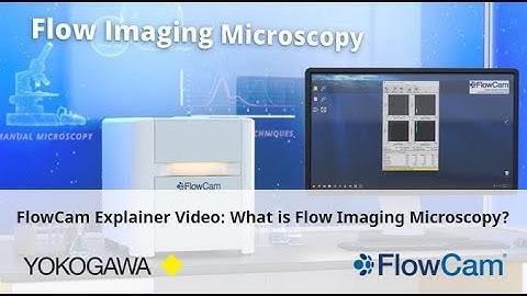 FlowCam Explainer Video - What is Flow Imaging Microscopy?