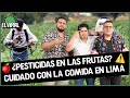 EL VIRAL🦠 - SENASA ADVIERTE SOBRE ALIMENTOS CONTAMINADOS EN LIMA Y REGIONES