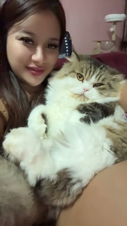 TikTok video #7507893052011203847