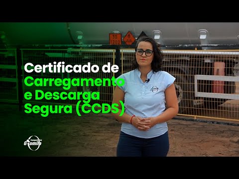 Vídeo: O que é a certificação CCDS?