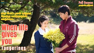 Download Lagu When Life Gives You Tangerines | Complete Tamil Dubbed Series | Korean Series | Must Watch K-Drama