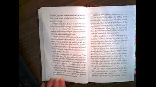 Chasing Vermeer Chapters 1-3