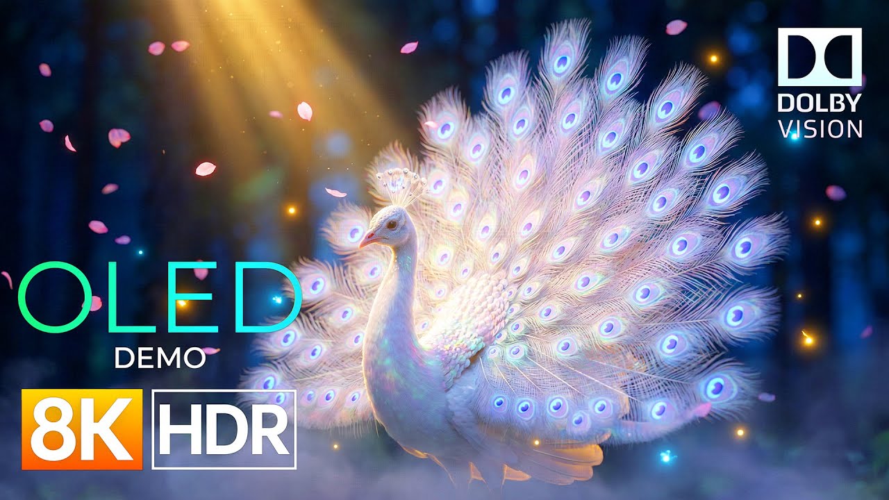 Unübertroffene Klarheit und Tiefe in 8K HDR 60fps Dolby Vision