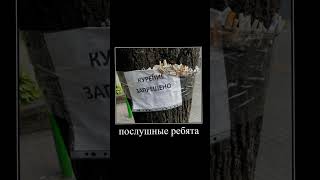 демик #2024 #shortvideo #subscribe #рек #реки #рекомендации #memes #мем #мемы #short #shorts #meme