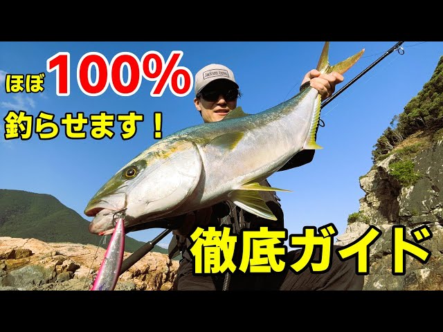 新企画】ほぼ100%青物のブリ・ヒラマサが釣れるように徹底ガイドします