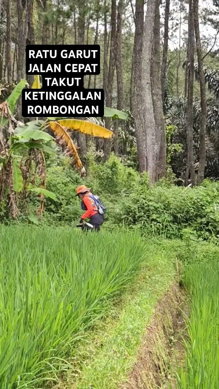 Jalan Cepat Kejar Rombongan PLAG