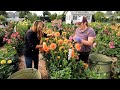 Cut Flower Garden Work Day with Monica! 🌸✂️🥰 // Garden Answer