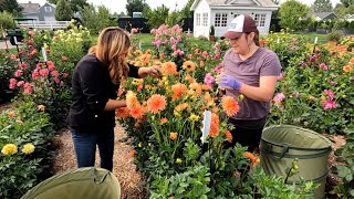 Cut Flower Garden Work Day with Monica! ✂ // Garden Answer