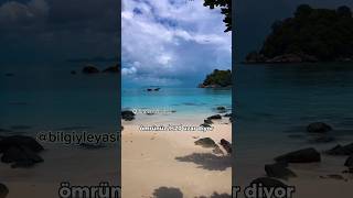 Tati̇l Yap Hayatta Kal