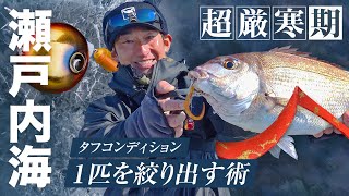 JACKALL - 【マサ】タイラバ まとめ売り 楽天市場】ジャッカル タイラバ フック（スポーツ・アウトドア
