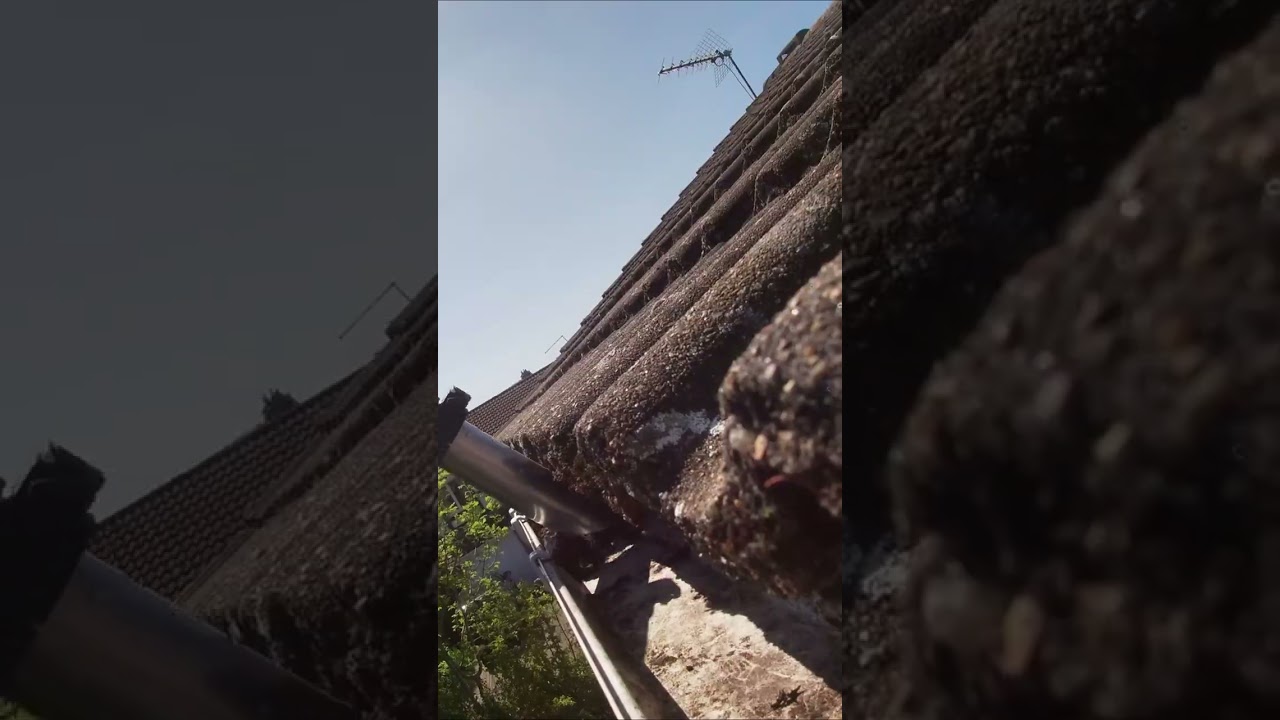 Welcome to Guttersucker!