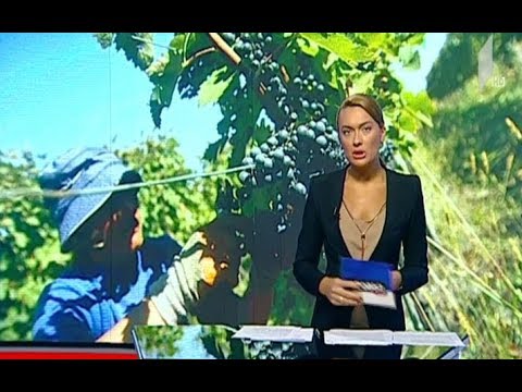 მამუკა ბახტაძე კახეთში “რთველი 2018”-ის მიმდინარეობის პროცესს გაეცნო