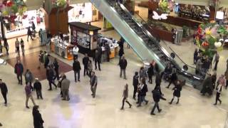 Flashmob la Iulius Mall Cluj cu artiștii de la Opera Maghiară Cluj - Cum au reacționat clujenii