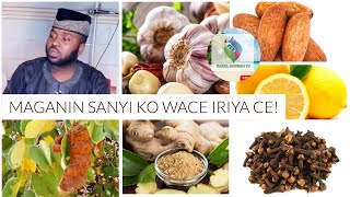 Maganin Sanyi Ko Wace Iriya ce Mussaman Maza! Magidanta || Mal. Dr. Abubakar Pharmacy screenshot 3