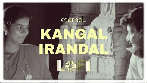 Kangal Irandal Lofi | Tamil Lofi | Subramaniapuram | James Vasanthan | eternaL