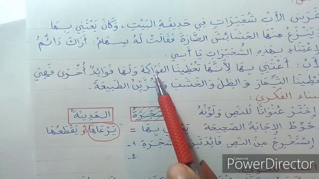 إختبار الفصل الأول في اللغة العربية السنة الثانية إبتدائي