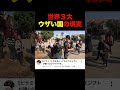 ⬆︎来たら全然キラキラしてない国