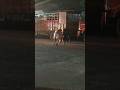 Dangal on Road #shorts #fighting #online