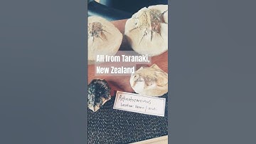 🦀 MILLION YEAR OLD EXTINCT CRABS.. All from Taranaki, NZ. So many species to be found here 👌 #fossil