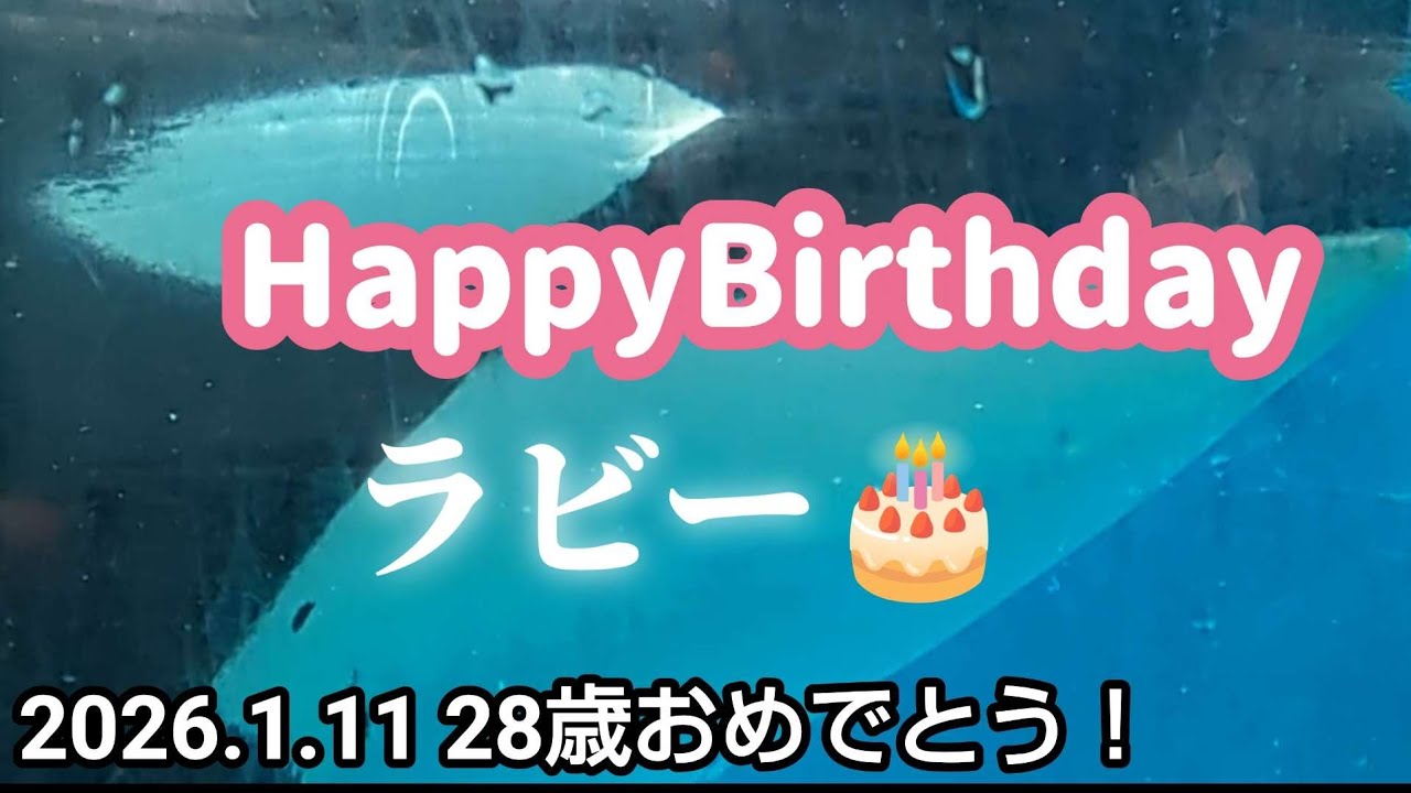 命を繋いだ28年の奇跡、鴨川シーワールド