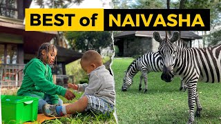 I finally found a safe & family friendly hotel in NAIVASHA, KENYA! by KenyaTravelSecrets 1,782 views 11 months ago 11 minutes, 59 seconds