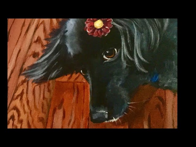 Dog Portrait Painting Time lapse