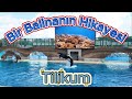 SeaWorld Orlando ve Tilikum’un Unutulmaz Hikayesi #seaworld #orlando #florida #eğlenceparkı