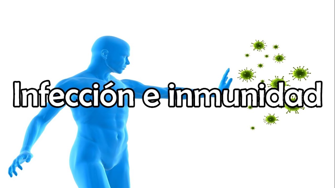 Resultado de imagen para inmunidad