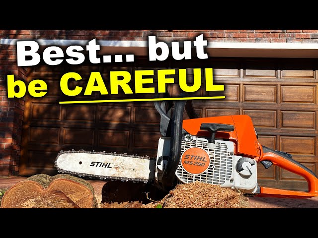 Stihl Ms 250 Chainsaw 20