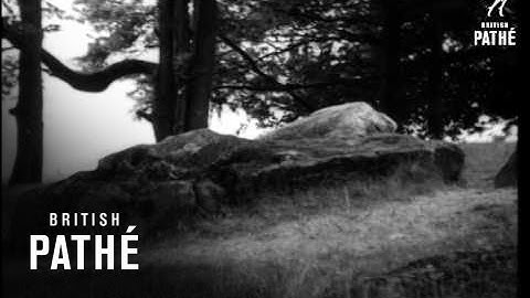 Wayland Forge Issue Title Is Seeing