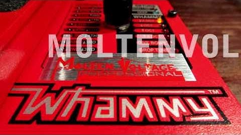 Whammy 4 Mods; Blend Controls; True Bypass; LEDs; Molten Voltage; Digitech