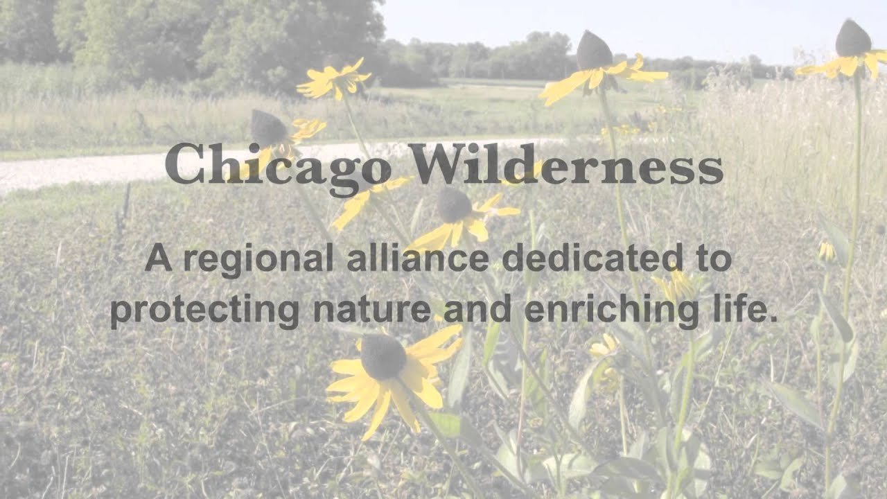 CW Honors McHenry County Conservation District with Excellence in Ecological Restoration