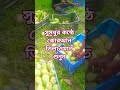 সুমধুর কন্ঠে কোরআন তিলাওয়াত শুনুন #কোরআন_তেলাওয়াত #qurantilawat #islamicvideos