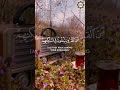 سورة السجدة قارئ الشيخ أحمد العجمي