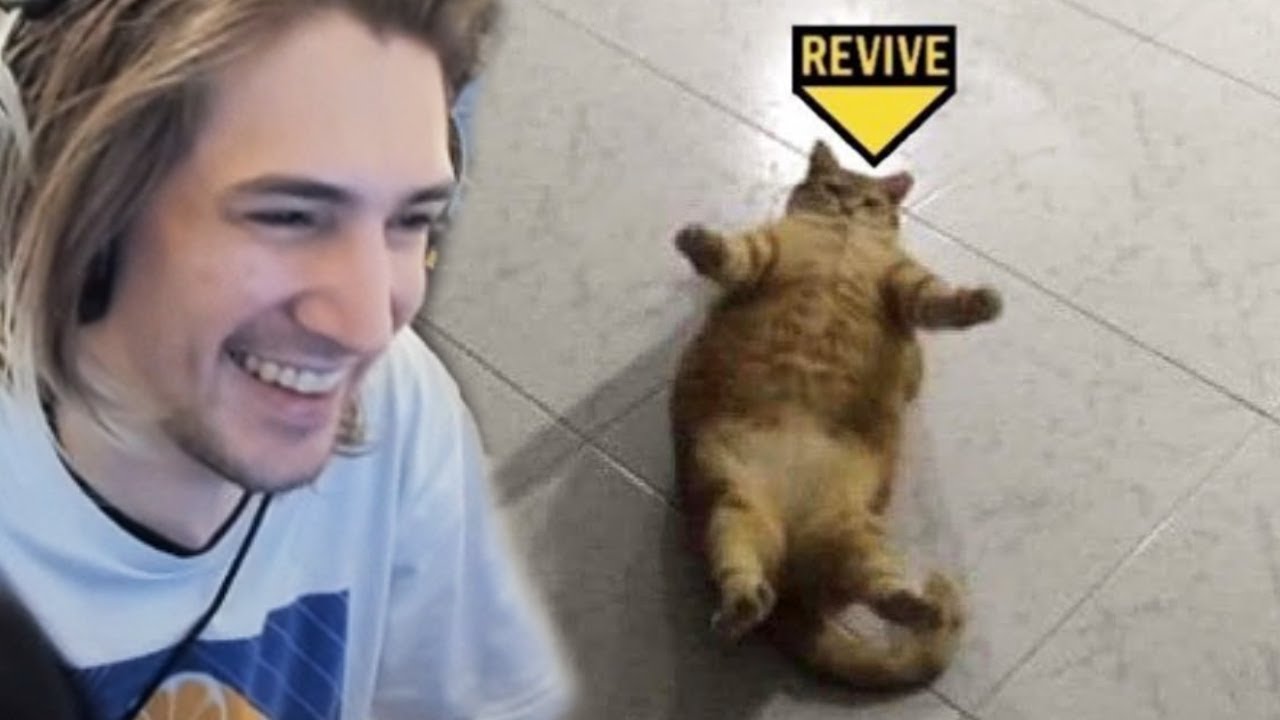 xQc Reacts to memes i stole from garfield