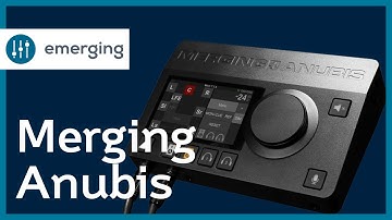 MERGING+ANUBIS | One of a Kind.