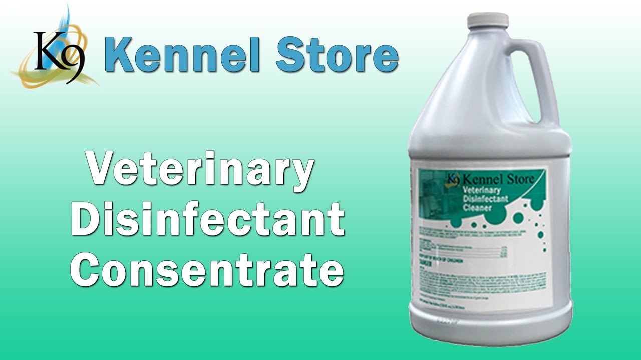 K9 Kennel Store Veterinary Disinfectant Consentrate YouTube