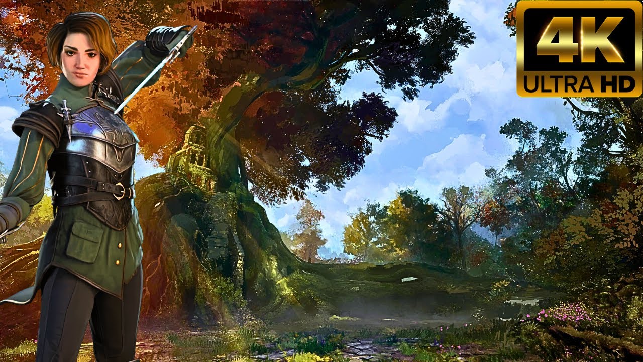 Gangs of Sherwood Gameplay Video