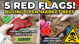 Famous 5 Red Flags When Buying Open-Market Beef (Don't Get Sick!) 🥩🛑 Net Worth