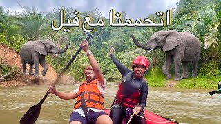 Thumbnail for جربنا نجدف في النهر و اتورطنا | لقينا مكان سحري