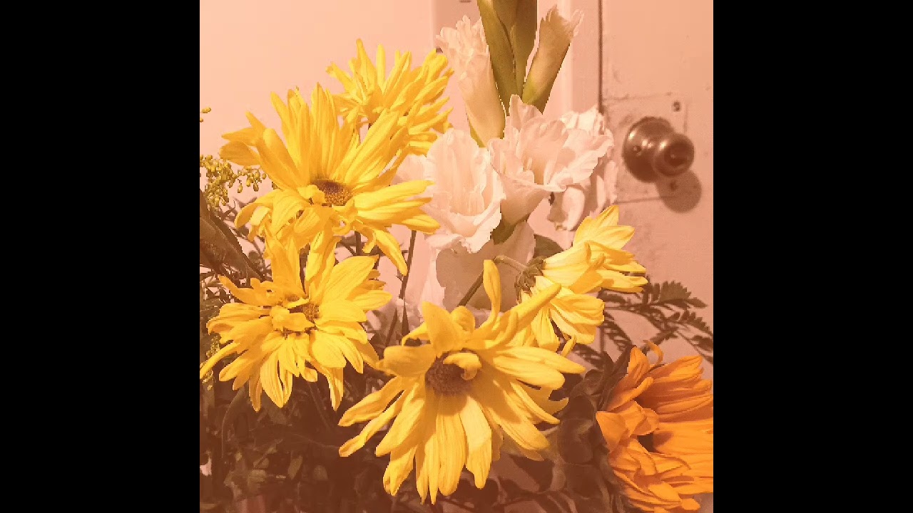 gracias amis hijas.  Elissette ,Aileen Nayeli.por este detalle,día de las, madres.❤❤❤ gracias Eli.