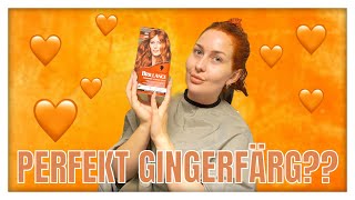 JAKTEN PÅ DEN PERFEKTA GINGERFÄRGEN - schwarzkopf 921 boho copper