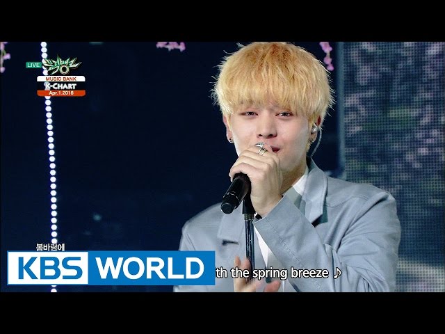 Dear Bride (Dear Bride) - YouTube
