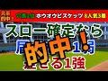 天皇賞秋2024 競馬YouTuber達が選んだ【確信軸】スロー確定なら?届かない1弱&差せる1強!