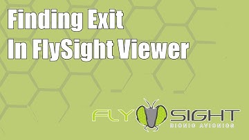 Finding Exit in FlySight Viewer