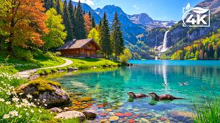 Gentle Relaxing Music 🌿 Soothing Piano Music Helps Heal the Soul, Balance Emotions #31 screenshot 4